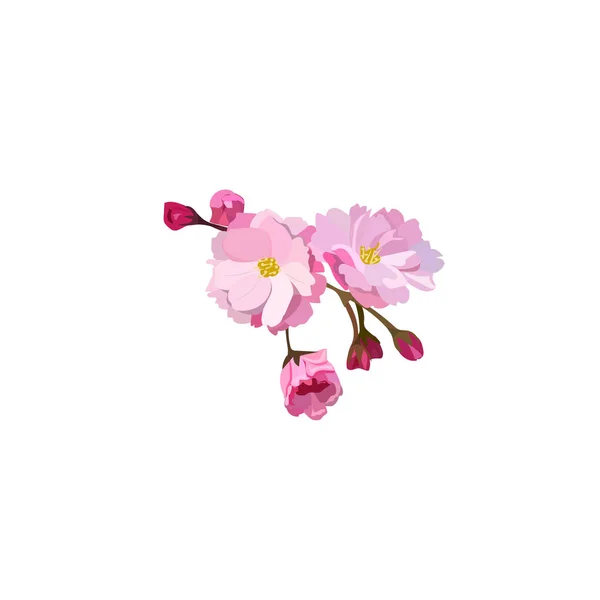 赤い桜の花 — ストックベクタ