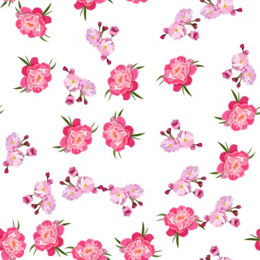 Şakayık çiçeği resmi