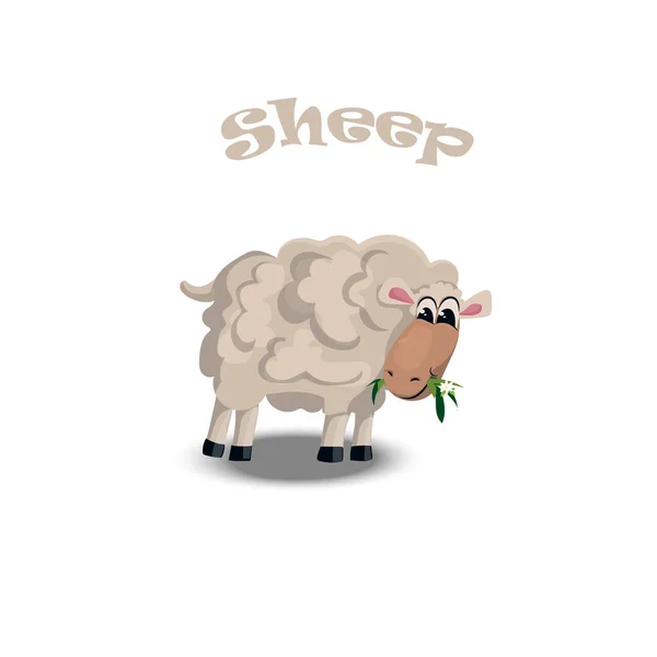 Ilustrace roztomilý ovce — Stockový vektor
