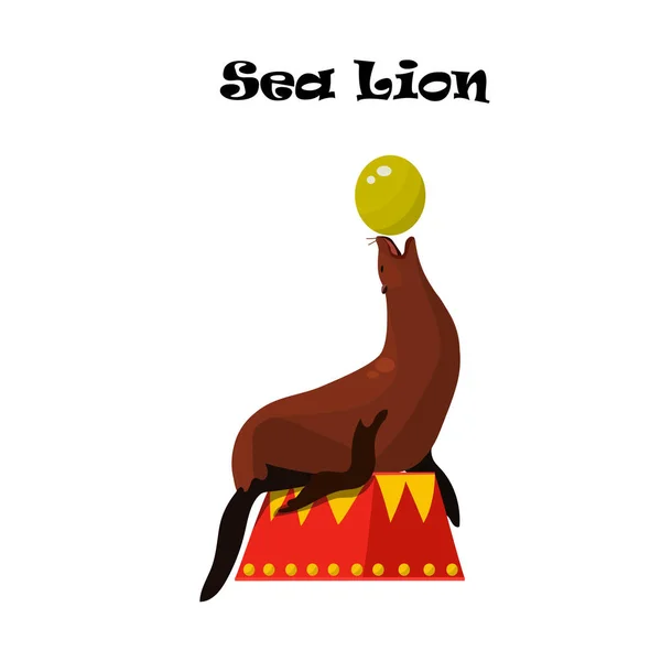 León marino o sello que equilibra una pelota — Vector de stock