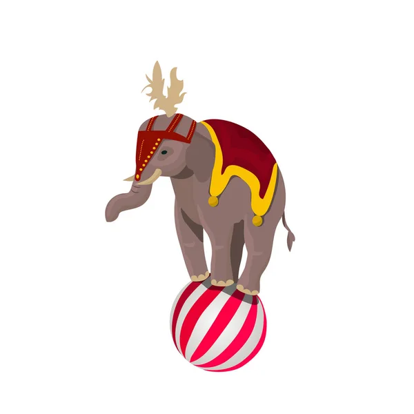 Elefante de circo balanceamento na bola — Vetor de Stock