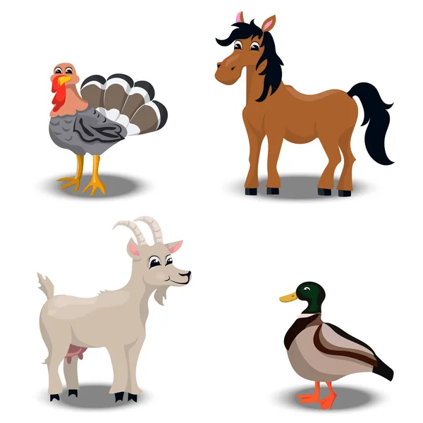 Farma zvířat kolekce — Stockový vektor