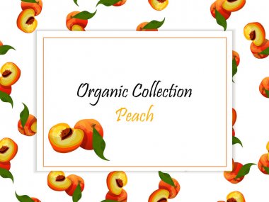 renkli vintage şeftali etiket poster vektör çizim