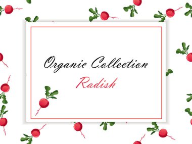 İnce çizgili turp Tema, sebze gıda afiş.