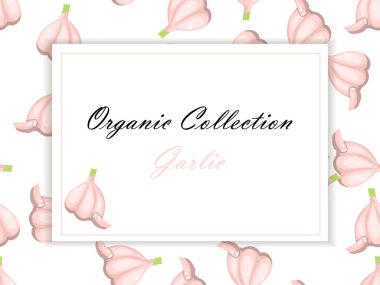 Sebze arka plan vektör. Bir soğan, pırasa ve sarımsak ile banner tasarımı