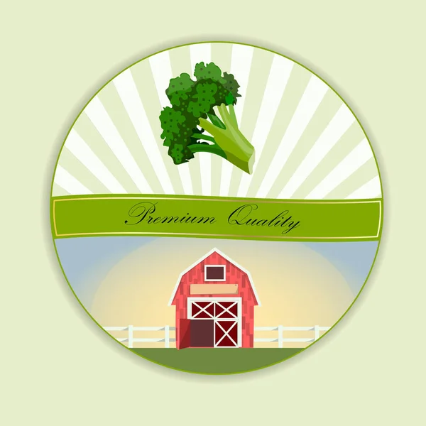 Etiqueta colorida de brócoli en estilo de boceto — Vector de stock