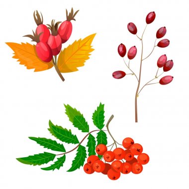 yüksek kaliteli sonbahar ayarla