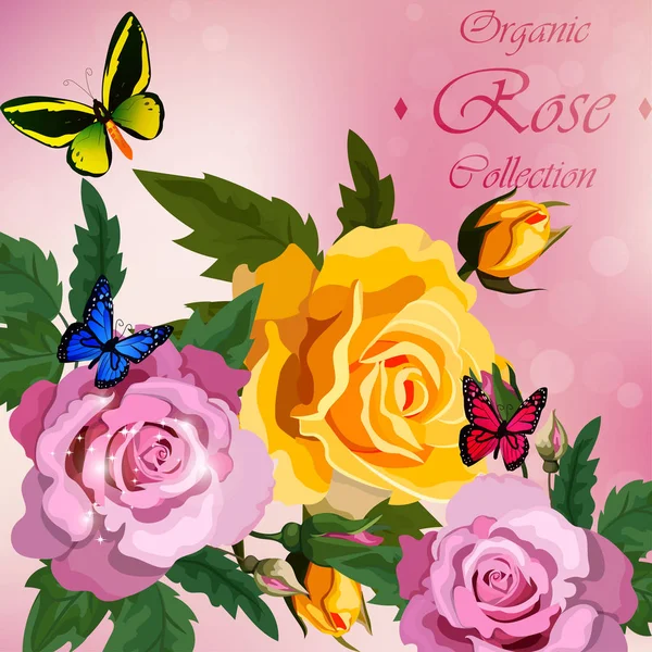Rosen und Schmetterlinge — Stockvektor
