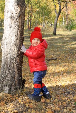 Oldukça küçük kız kırmızı bere ve ceket ayakta bir huş ağacı sonbahar Park yakınındaki