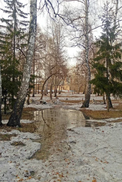 Início da primavera no parque da cidade siberiana — Fotografia de Stock