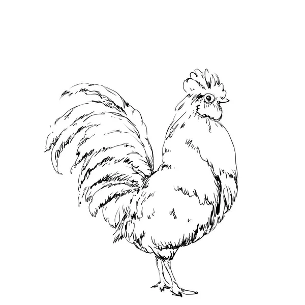 Oiseau vecteur dessiné à la main, croquis de poulet. Nouvel an symbole — Image vectorielle