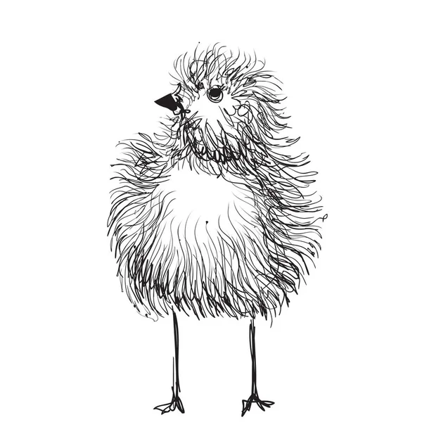 Graphiques au crayon dessinés à la main, poulet, poussin . — Image vectorielle