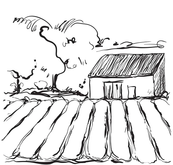Illustrazione disegnata a mano di un campo e una casa — Vettoriale Stock