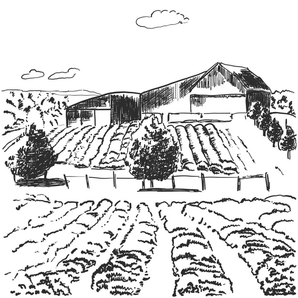 Imagen vectorial. Paisaje con campos y casa entre las colinas — Archivo Imágenes Vectoriales