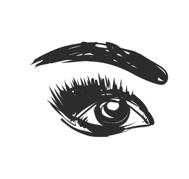 Göz ve kaş kroki. Elle çizilmiş. Vektör çizim.