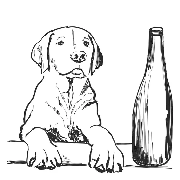 Tarjeta de Navidad. Divertido retrato de perro con una botella de vino o champán. Boceto de ilustración vectorial . — Archivo Imágenes Vectoriales