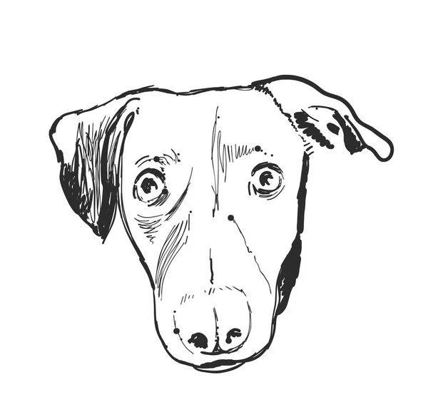 Skizzieren Hundeporträt. Haustier. handgezeichnete Vektor-Illustration — Stockvektor