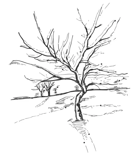 Handgezeichneter Baum isoliert auf weißem Hintergrund. Skizze, Vektorillustration. — Stockvektor