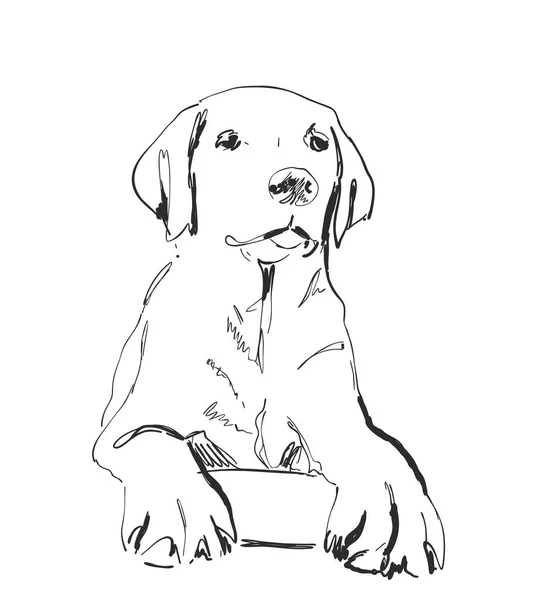 Dibujo de retrato de perro. Mascota. Ilustración vectorial dibujada a mano — Archivo Imágenes Vectoriales