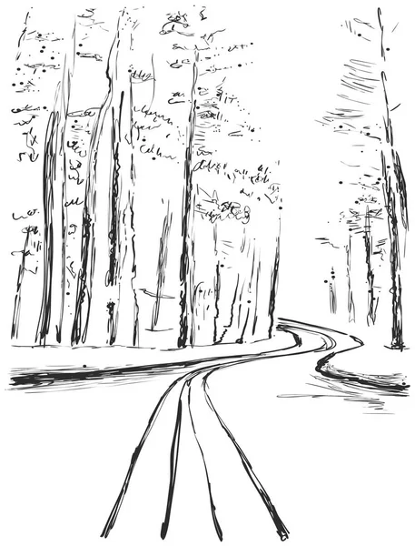 Ilustración vectorial. Bosque dibujado a mano paisaje con carretera y árbol. Diseño de línea . — Archivo Imágenes Vectoriales