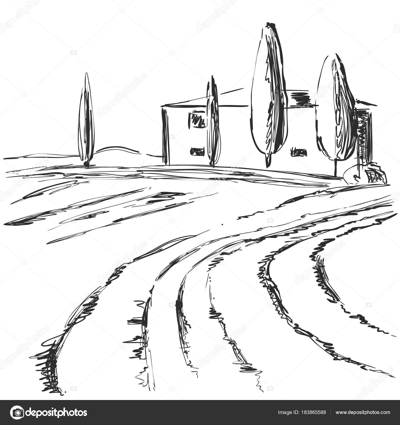 Hand Made Vector Sketch Of Vineyard Landscape Fields