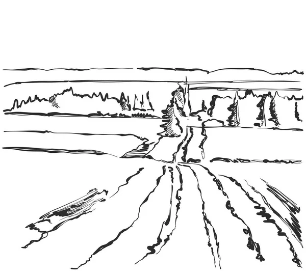 畑の風景の手作られたベクター スケッチ。フィールド、hiil、ツリー. — ストックベクタ