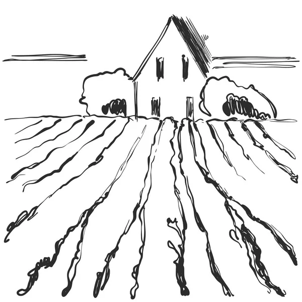 Dibujo vectorial hecho a mano del paisaje del viñedo. Campos, hiil, árbol . — Archivo Imágenes Vectoriales