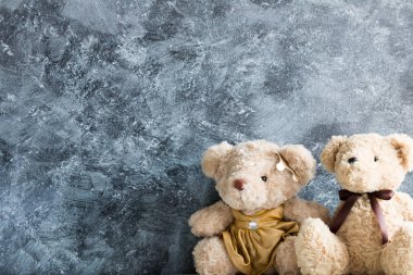 şirin oyuncak ayılar 