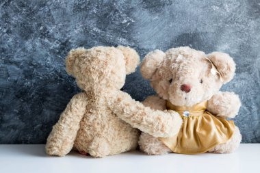 şirin oyuncak ayılar 