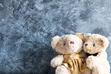 şirin oyuncak ayılar 