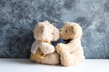 şirin oyuncak ayılar 