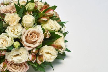 Beyaz arkaplanda güller