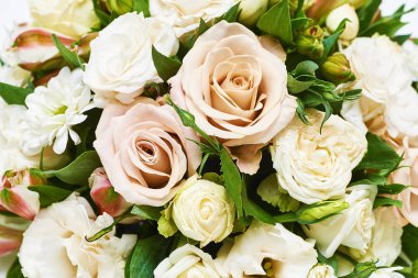 Beyaz arkaplanda güller