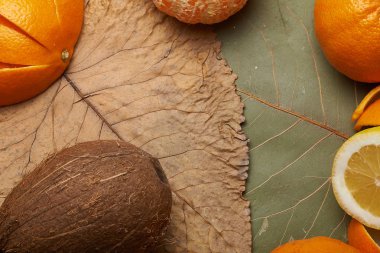 arka plan ile meyve dekore edilmiş