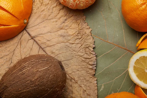 arka plan ile meyve dekore edilmiş