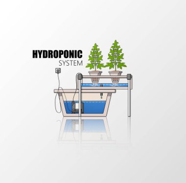 hydroponic system and growing plants clipart