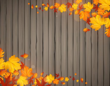 güzel sonbahar tasarım 