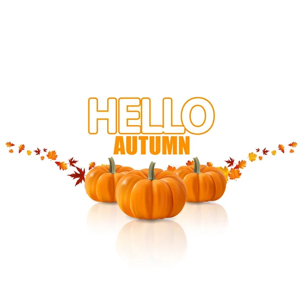 Hallo Herbst Banner — Stockvektor