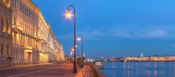 Gece görünümü Palace dolgu ve Neva Nehri — Stok fotoğraf