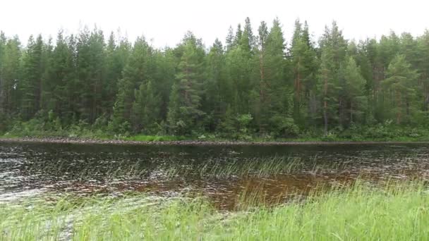 湖と対岸の森に流れる — ストック動画