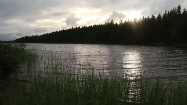 Lake and forest before sunset — Stock Video