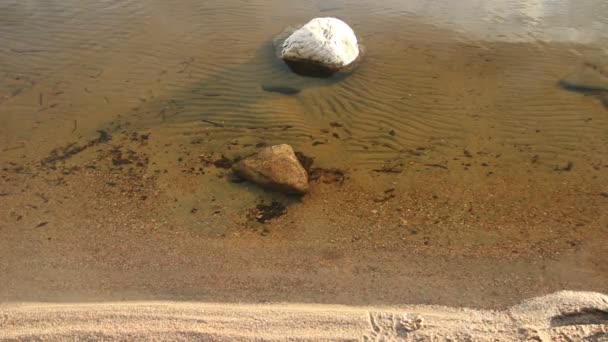 Steen in water op de oever van lake — Stockvideo