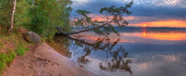 Bellissimo tramonto sul lago con albero rotto — Foto Stock