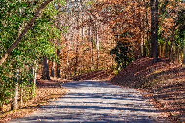 Yol Lullwater Park, Atlanta, ABD