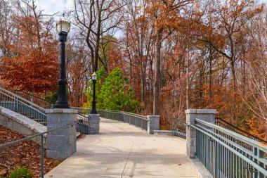 Patika ve Piedmont Park, Atlanta, Amerika Grand Arbor'da merdiven