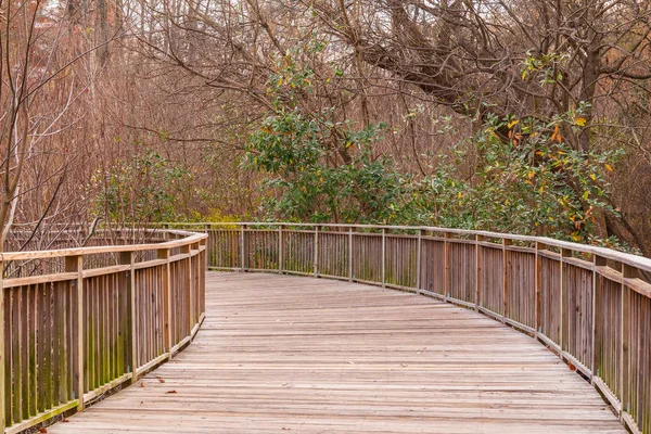 Boardwalk in Piedmont Park, Atlanta, USA — Stock Photo, Image