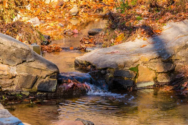 Little Creek'e Stone Mountain Park, ABD