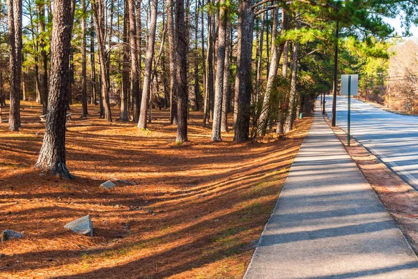 Largas sombras en Stone Mountain Park, Estados Unidos — Foto de Stock