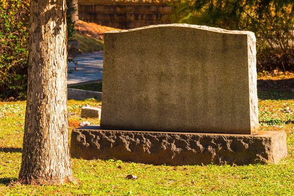 Tombstone and trunk of tree on Oakland Cemetery, Atlanta, USA