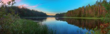 Göl ve orman panoramik manzara